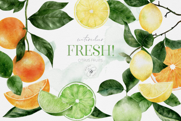 Fruit Watercolour Citrus Fruits: A Zesty Design Asset